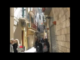 Sightseeing_x264
